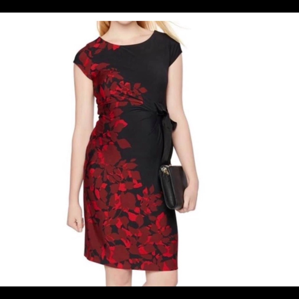 A Pea in the Pod Maternity Dress